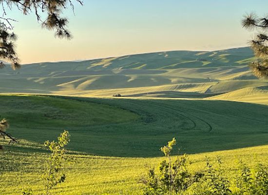 idaho/palouse/attraction/kamiak-butte-county-park