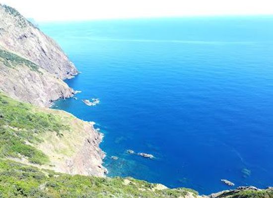 portugal/madeira/attraction/caminho-do-larano