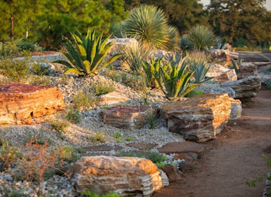 texas/houston/attraction/houston-botanic-garden