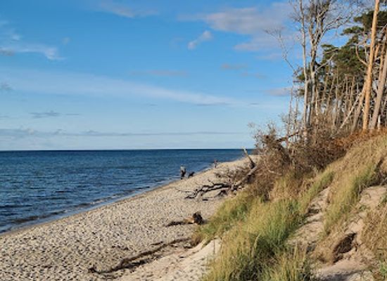 germany/baltic-sea-coast/attraction/vorpommersche-bodenlandschaft-national-park
