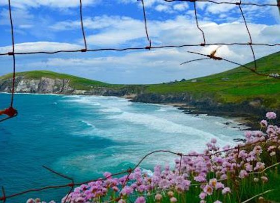 ireland/county-kerry/attraction/killarney-guided-tours