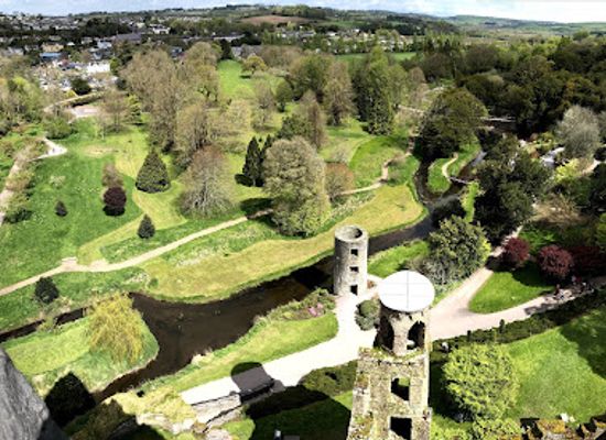 ireland/county-cork/attraction/blarney-castle-gardens-gairdini-chaislean-na-blarnan