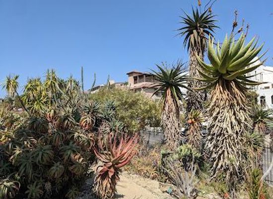 california/glendale/attraction/ucla-mathias-botanical-garden