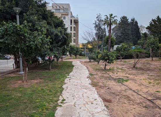israel/ra-anana/attraction/zipline-park