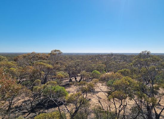 australia/mallee/attraction/warepil-lookout