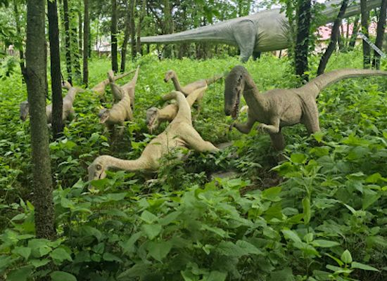 kentucky/mississippi-plateau/attraction/treasure-trove-park