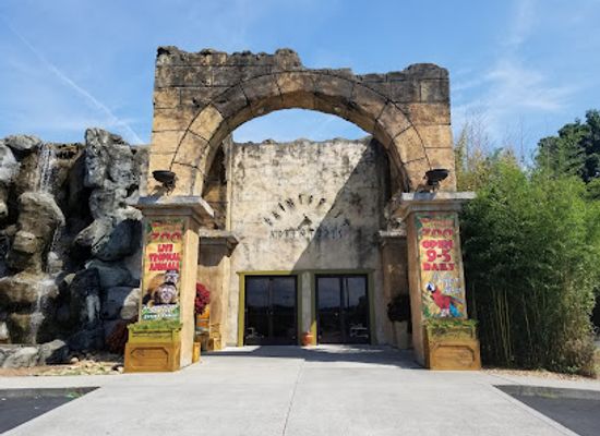 tennessee/great-smoky-mountains/attraction/rainforest-adventures-zoo