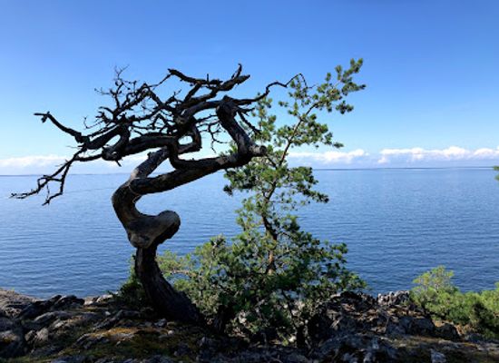sweden/vastergotland/attraction/djuro-national-park