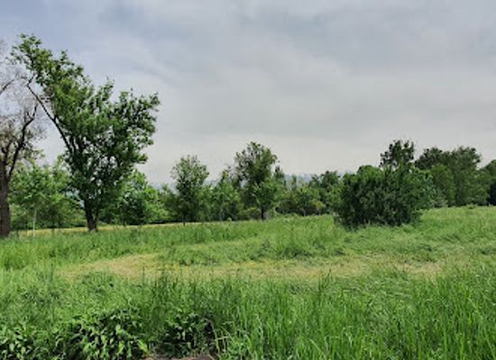 kazakhstan/ile-alatau-national-park/attraction/vostochnoye-pole-botanicheskogo-sada