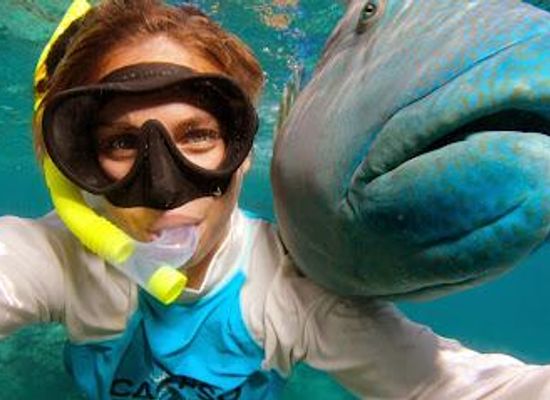 australia/port-douglas/attraction/calypso-reef-cruises