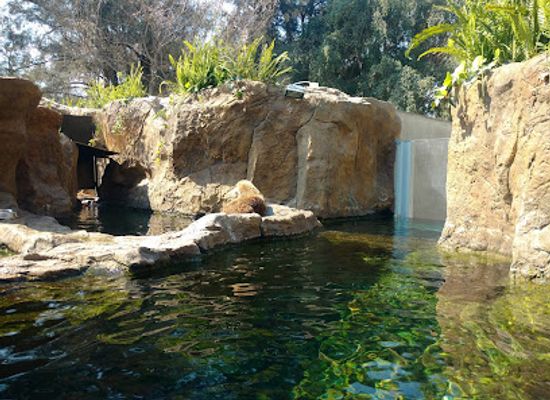 mexico/central-mexico/attraction/acuario-michin-guadalajara