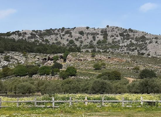 greece/dodecanese/attraction/faethon-miniature-horses-farm