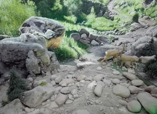 kazakhstan/ile-alatau-national-park/attraction/visit-center-ile-alatau-national-park