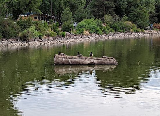 colorado/fort-collins/attraction/fort-collins-city-park