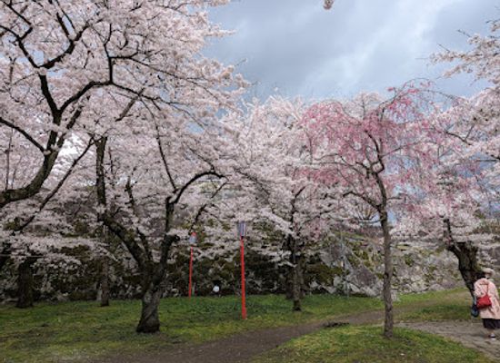 japan/tohoku/attraction/morioka-jo-castle-site-park-iwate-park