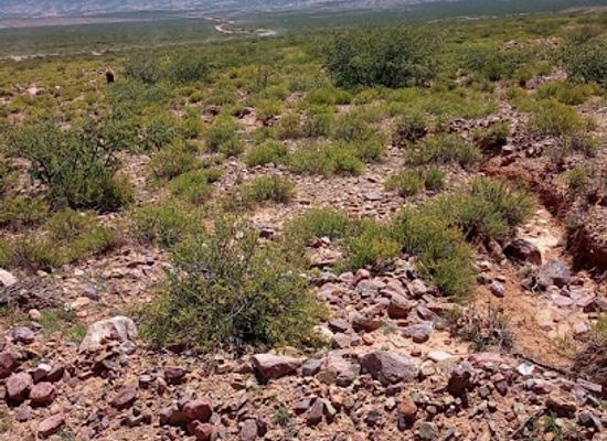 argentina/quebrada-de-humahuaca/attraction/finca-pucara