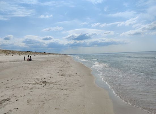 lithuania/lithuanian-seaside/attraction/smiltynes-papludimys