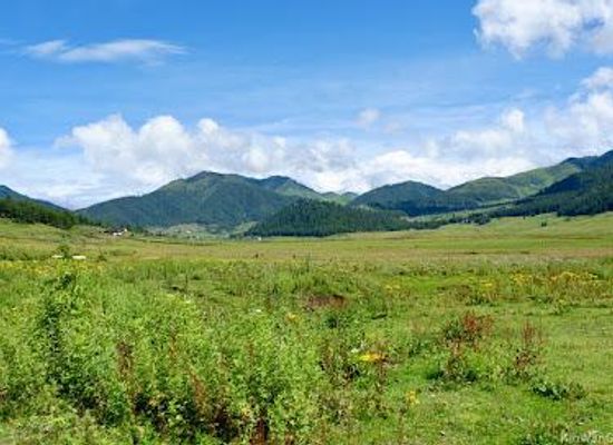 bhutan/punakha/attraction/phobjikha-valley