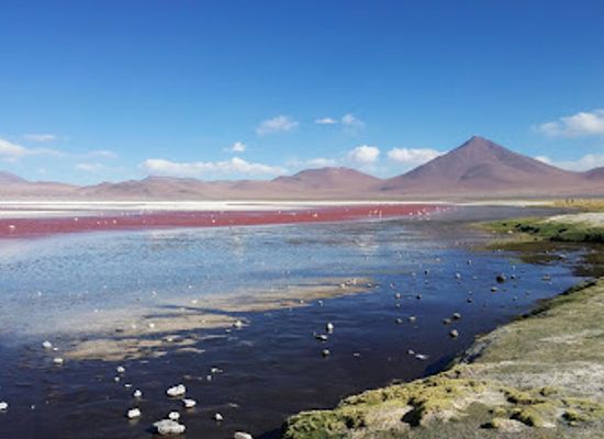 bolivia/altiplano/attraction/laguna-colorada