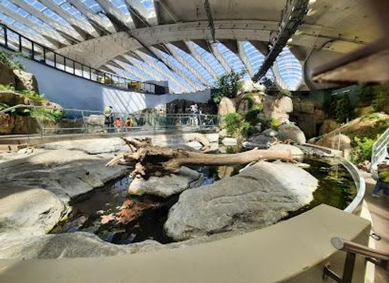 canada/montreal/attraction/montreal-biodome