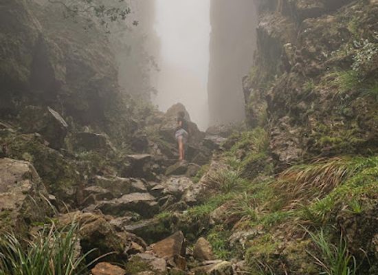 south-africa/overberg/attraction/dark-gorge