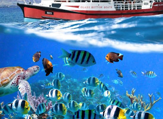 israel/negev/attraction/glass-bottom-boat-israel-yam