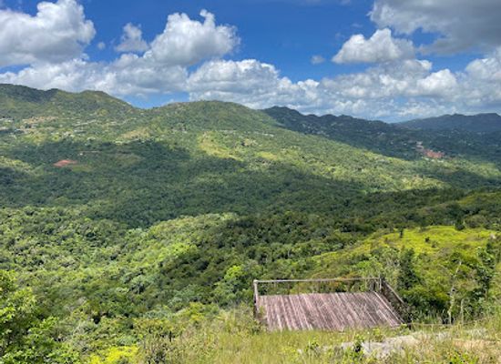 puerto-rico/central-mountain-range/attraction/bosque-del-pueblo