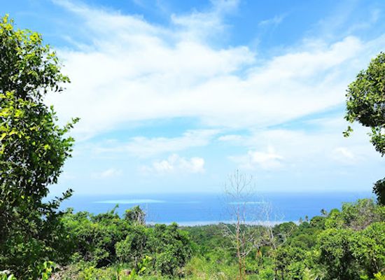 mayotte/plage-de-n-gouja/attraction/via-ferrata-de-boueni