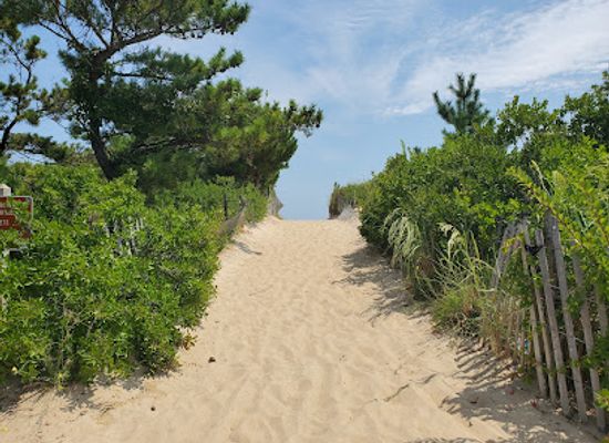 delaware/delaware-seashore-state-park/attraction/south-inlet-delaware-seashore-state-park