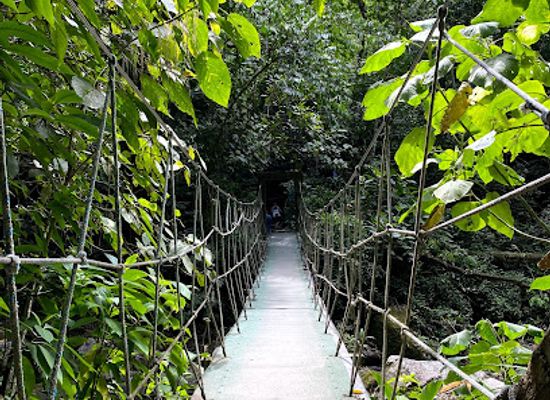 panama/el-valle-de-anton/attraction/canopy-adventure
