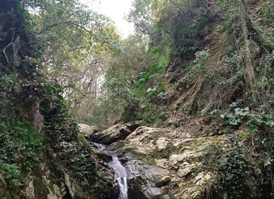 tunisia/the-tell/attraction/beni-mtir-waterfalls