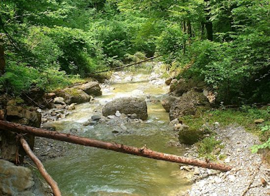 austria/bregenzerwald/attraction/wasserfall-alberschwende