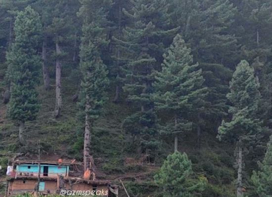 pakistan/kaghan/attraction/magri-meadows-bhoonja-valley