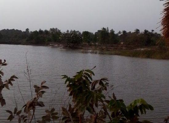 the-gambia/soma/attraction/oasis-and-trails