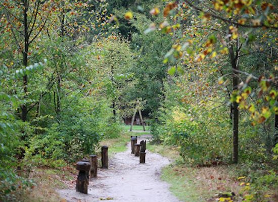 netherlands/sallandse-heuvelrug-national-park/attraction/speelbos-sallandse-heuvelrug