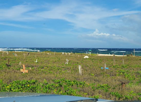 aruba/baby-beach/attraction/bachelor-s-beach
