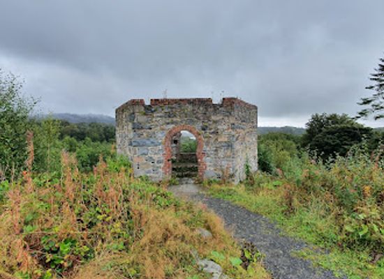 ireland/mourne-mountains/attraction/castlewellan-forest-park