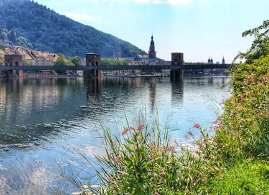 germany/heidelberg/attraction/staustufe-schleuse-heidelberg