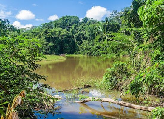 bolivia/santa-cruz-lowlands/attraction/parque-nacional-madidi