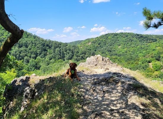 hungary/vertes-mountains/attraction/vaskereszt