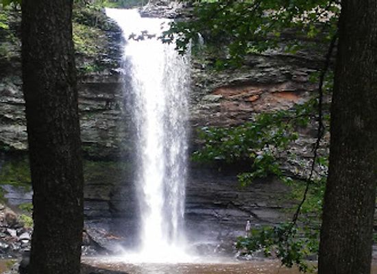 arkansas/petit-jean-state-park/attraction/cedar-creek-trail