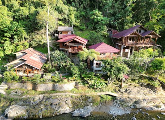 indonesia/bukit-lawang/attraction/kupu-kupu-jungle-trekking-bukit-lawang