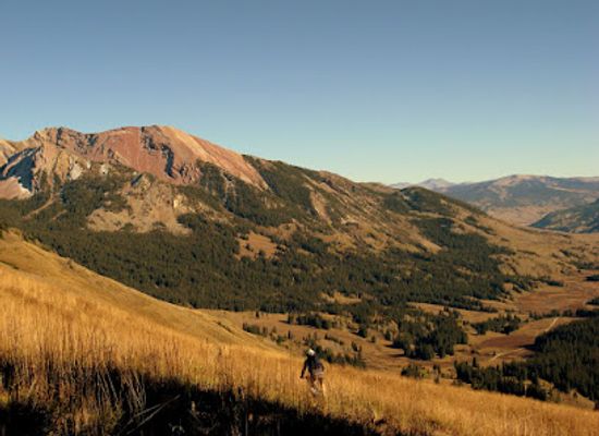 colorado/elk-mountains/attraction/gothic-natural-area