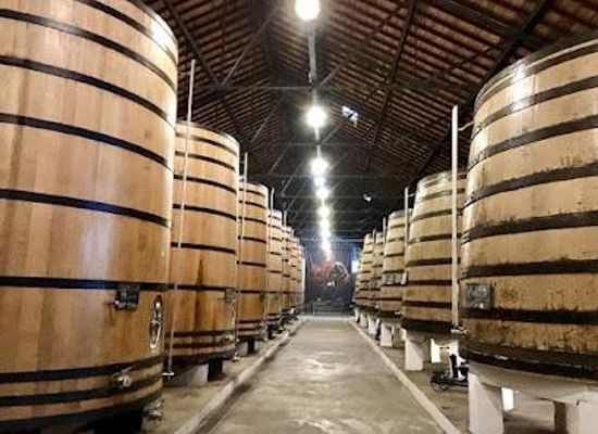 portugal/minho/attraction/real-companhia-velha