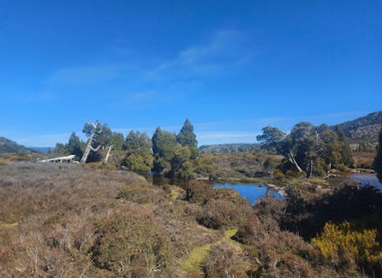australia/tasmania/attraction/pine-lake-walk