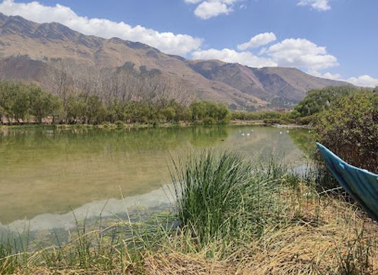 peru/cusco-region/attraction/humedal-de-huasao