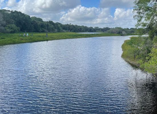 florida/sarasota-beaches/attraction/myakka-canopy-walkway-and-observation-tower