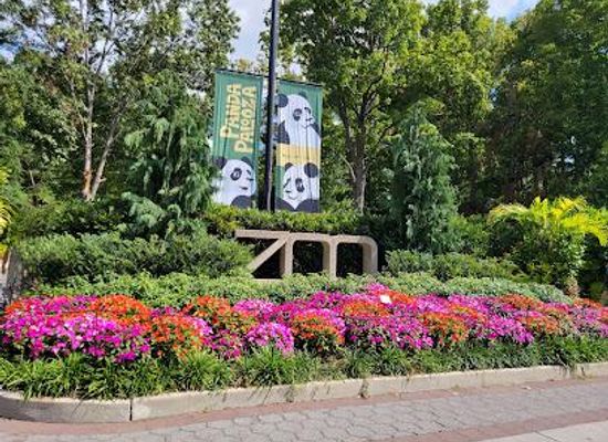 maryland/laurel/attraction/smithsonian-national-zoological-park