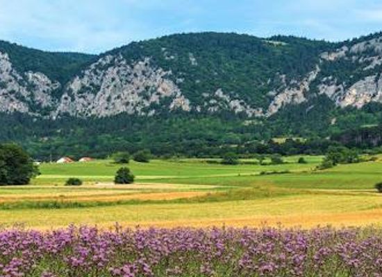 hungary/sopron/attraction/naturpark-hohe-wand