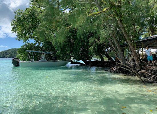 palau/angaur/attraction/ngermeaus-island-park